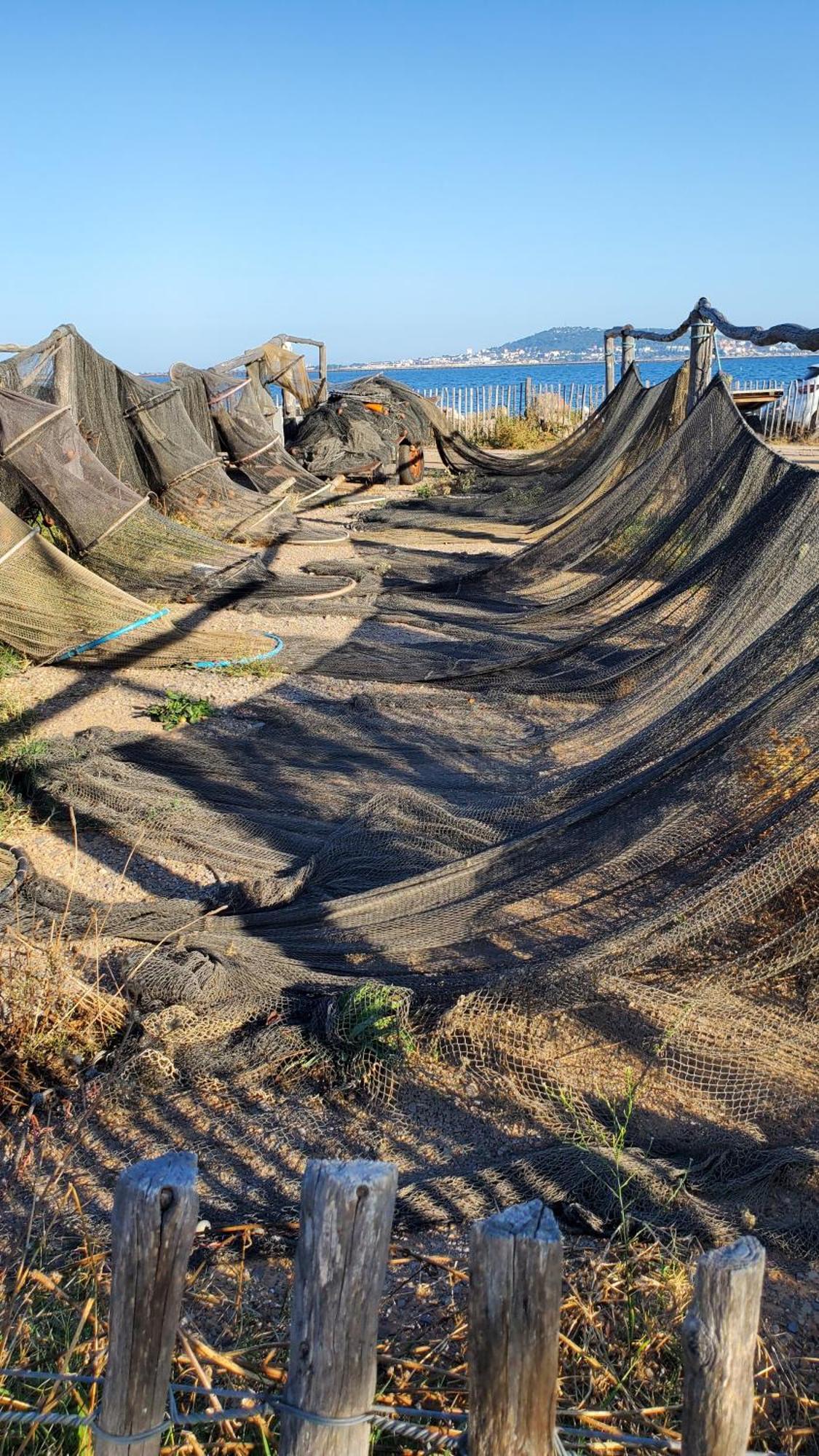 Le Vent Dans Les Voiles - Appartement Classe 4 Etoiles Mèze Dış mekan fotoğraf
